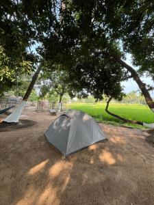 Zahrada ubytování Harmony Sunrise Guest House & Restaurant + 37 fotografií