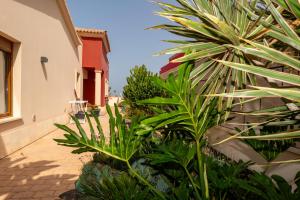 a group of plants in front of a building at Villa V8 in Caleta De Fuste