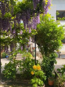 A garden outside Casa Martello