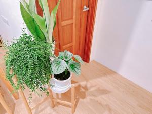 Fotografie z fotogalerie ubytování Gardenstay v destinaci Luodong