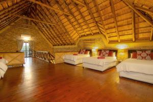 Habitación grande con 2 camas en un edificio en Wildgoose Lodge, en Marloth Park 37 fotos más