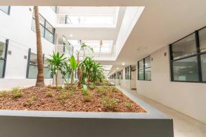 Taman di luar Feliz Pousada the Millennial