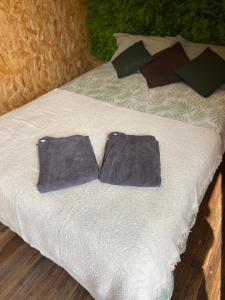 a bed with two pillows on top of it at la suite conteneur in Septèmes-les-Vallons