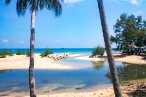 a beach with two palm trees and the ocean at Impian Inn in Tioman Island