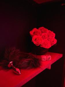 Fotografie z fotogalerie ubytování Love room in Paris v Paříži