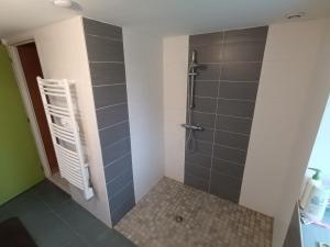 a bathroom with a shower with gray tiles at Gîte-Nature-Poitou in Archigny +29 photos