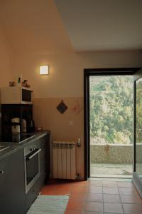 Η κουζίνα ή μικρή κουζίνα στο Casa de Gondomil