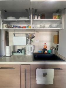 a kitchen with a sink and a counter top at Skopje&Joy Central Flat in Skopje +12 photos