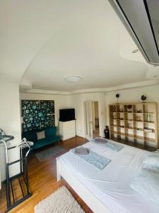 Posteľ alebo postele v izbe v ubytovaní RoseHill Garden Family Villa with a Great Budapest View