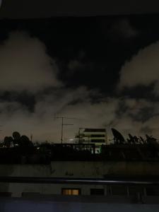 un grupo de aves sentadas en la parte superior de un edificio en appartement de antoine, en Maarif