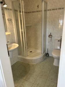 a bathroom with a shower and a sink and a toilet at Slunečná Lada in Borová Lada +45 photos