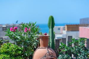 a vase sitting on a fence with flowers and a cactus at Anza surfhouse in Agadir