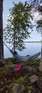 - un hamac en face d'un arbre et d'un lac dans l'établissement Traditional Finnish lakeside off-grid cabin, à Joensuu