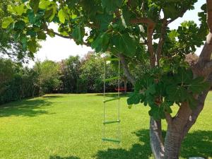 Vonkajšia záhrada v ubytovaní Private two-floor holiday house in Leptokaria