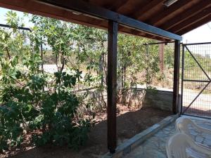 Vonkajšia záhrada v ubytovaní Private two-floor holiday house in Leptokaria