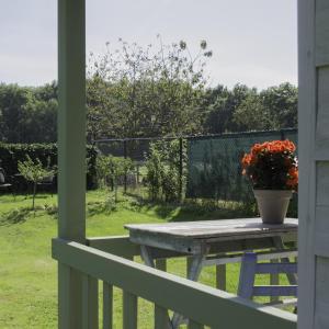 a table with a potted plant on a porch at de Bosuil in Steensel