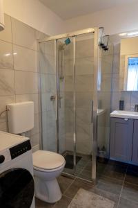 a bathroom with a shower and a toilet and a sink at Studio apartman Mare in Velika Gorica +5 photos