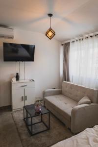 a living room with a couch and a tv at Studio apartman Mare in Velika Gorica