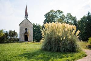 Zahrada ubytování Le Prieuré de Beaupré - Proche Besançon