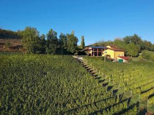 a field of crops with a house in the background at Azienda Agricola La Ghibellina in Gavi