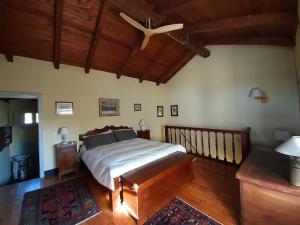 a bedroom with a bed and a ceiling fan at Azienda Agricola La Ghibellina in Gavi
