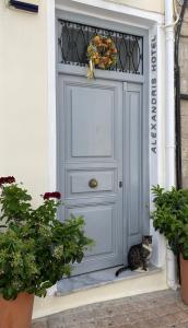 Gallery image of Alexandris Hotel in Spetses