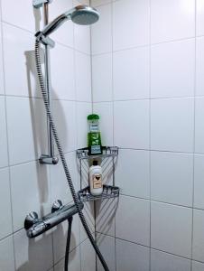 a shower in a bathroom with a shower at Studio in farmhouse Close to Giethoorn in Kallenkote +10 photos