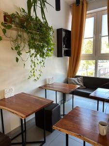 Televízia a/alebo spoločenská miestnosť v ubytovaní Arcus Premium Hostel
