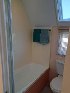 a bathroom with a shower and a toilet at Golden sands ingoldmells plot 337 in Skegness +21 photos