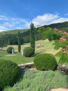 Naturlandschaft in der Nähe des Bed & Breakfasts