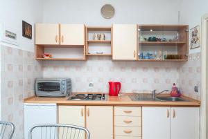 Kuchyň nebo kuchyňský kout v ubytování Apartment and Rooms Radojka
