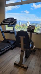 Academia e/ou comodidades em Hotel Mendoza