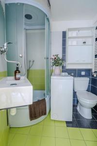 a bathroom with a toilet and a sink and a shower at Beautiful New Town Apartment in Prague