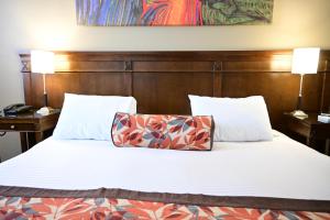 Cama ou camas em um quarto em Hotel Mendoza