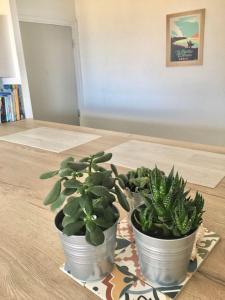 安格雷Anglet sables d'or - vue océan的相册照片