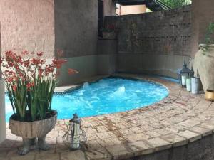 a swimming pool in the middle of a patio at Shelanti Game Reserve in Marken