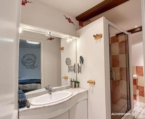 ein weißes Badezimmer mit Waschbecken und Dusche in der Unterkunft Gîte des Remparts in Besse-et-Saint-Anastaise