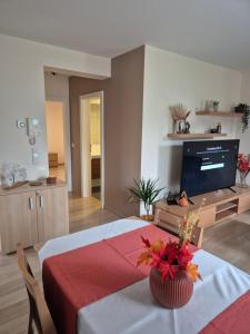TV a/nebo společenská místnost v ubytování Hotel Bon Repos