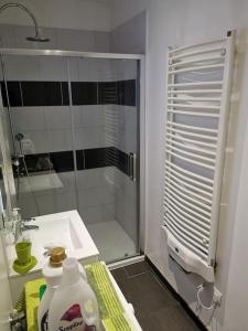 La salle de bains est pourvue d'une douche et d'un lavabo blanc. dans l'établissement Maisonnette Les vents marins, à Malo-les-Bains