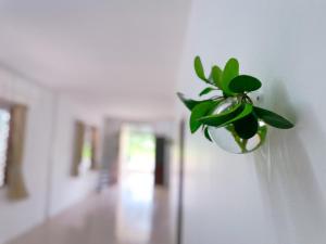 Gallery image of Ao Luek Hometel - Whole House Accommodation in Ao Luk