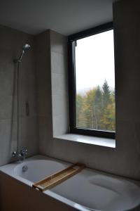 a bath tub in a bathroom with a window at Mountain Nest in Silver Mountain Poiana Brasov in Poiana Brasov +60 photos