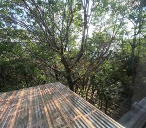 度假屋周边自然景观