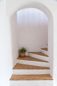 eine Treppe in einem weißen Raum mit Topfpflanze in der Unterkunft Casa rural La Artística, alojamiento y arte in Fuenteheridos