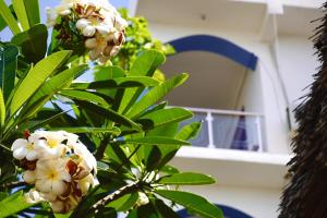 Zahrada ubytování Daeli Apartment + 37 fotografií