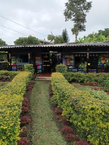 A garden outside Cafilandia