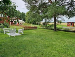 a yard with two white chairs and a tree at Happy Farm Storstuga in Källby