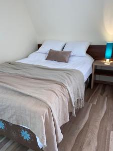 Posteľ alebo postele v izbe v ubytovaní Willa Jagiellonka apartamenty w centrum, parking