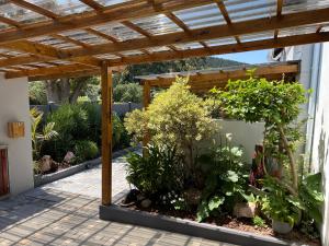 a patio with a wooden pergola and plants at Pelican Lodge Guesthouse in Sedgefield