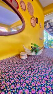 Foto sihtkohas Alter do Chao asuva majutusasutuse POUSADA FLORA galeriist