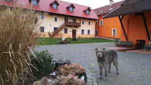 Fotografie z fotogalerie ubytování Podřipská Farma v destinaci Roudnice nad Labem